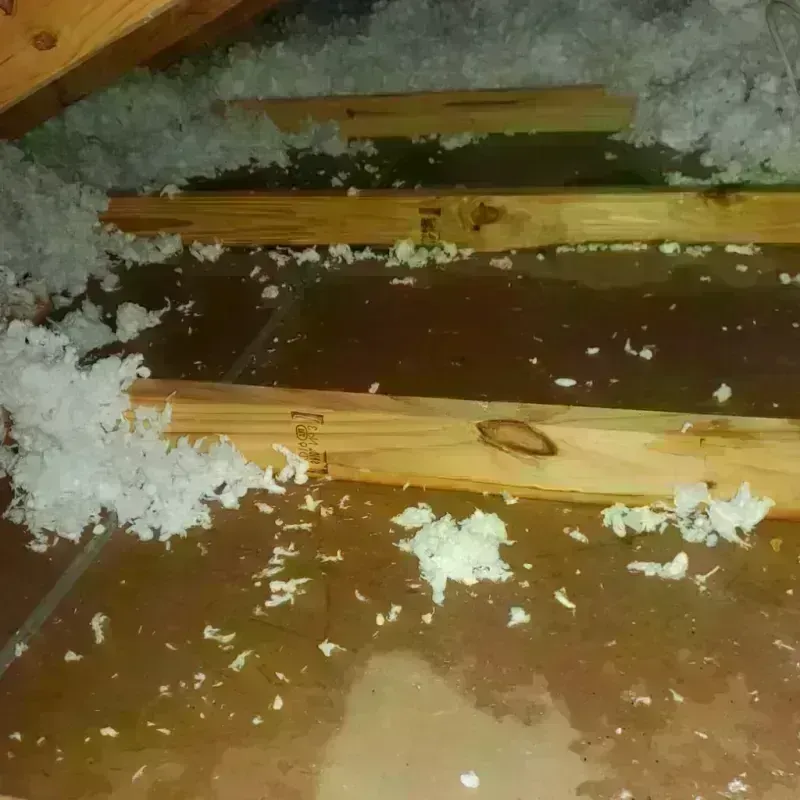 Attic Water Damage in Silver Summit, UT