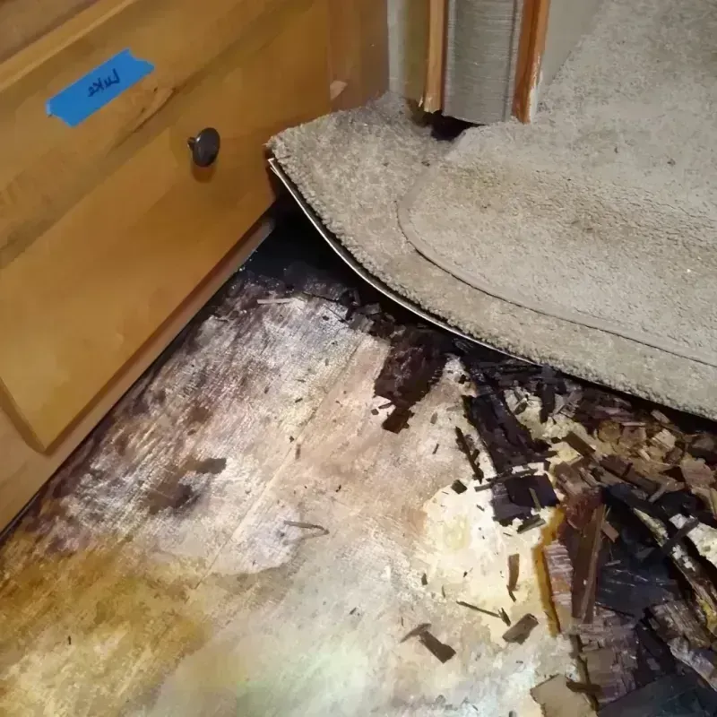 Wood Floor Water Damage in Silver Summit, UT